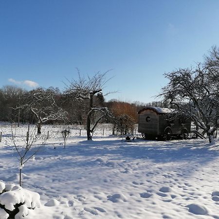 Roulotte Le Temps De Rever Bed & Breakfast Saint-Michel-sur-Meurthe Luaran gambar