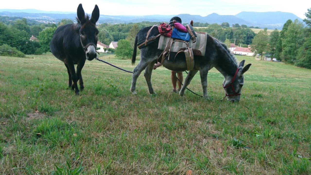 Roulotte Le Temps De Rever Bed & Breakfast Saint-Michel-sur-Meurthe Luaran gambar