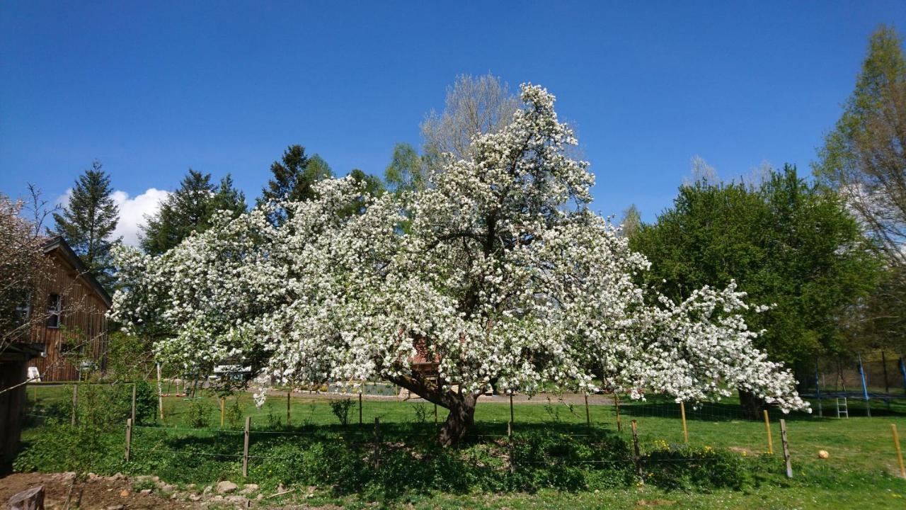 Roulotte Le Temps De Rever Bed & Breakfast Saint-Michel-sur-Meurthe Luaran gambar